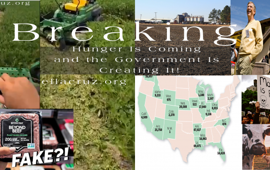 Breaking: Hunger Is Coming and the Government Is Creating It! Extensive Article